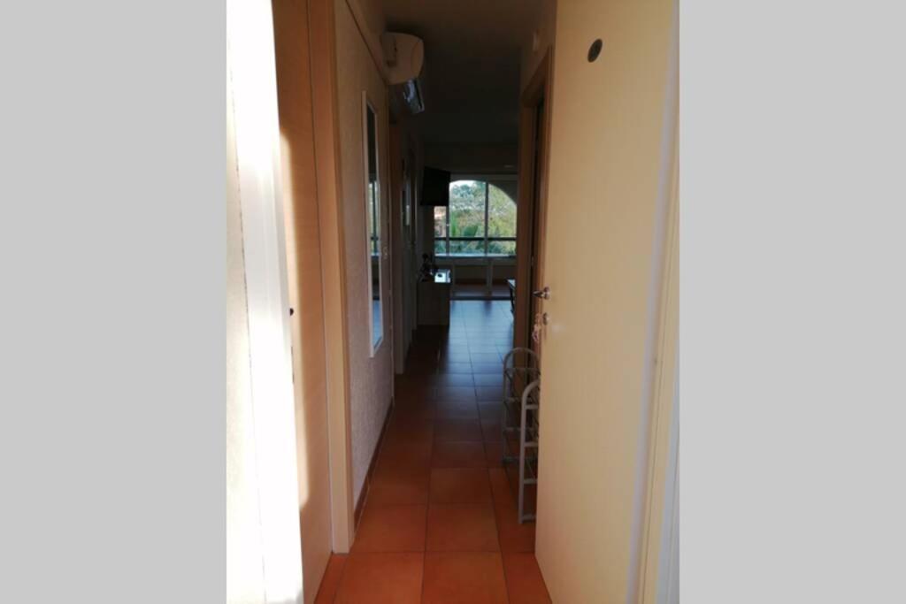 Appartement Les Pieds Dans L'Eau 300 M Plage - 2 Piscines Linguizzetta Exterior photo